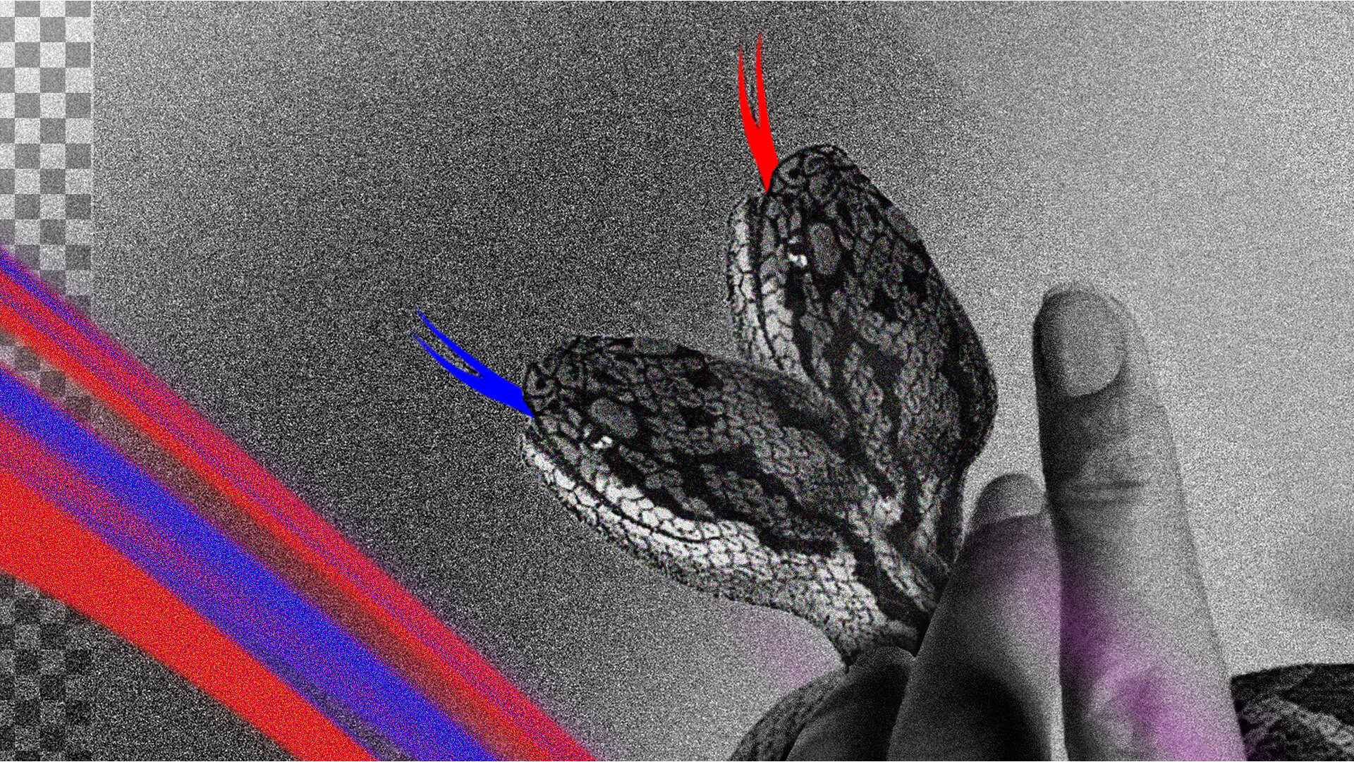 Vice_3