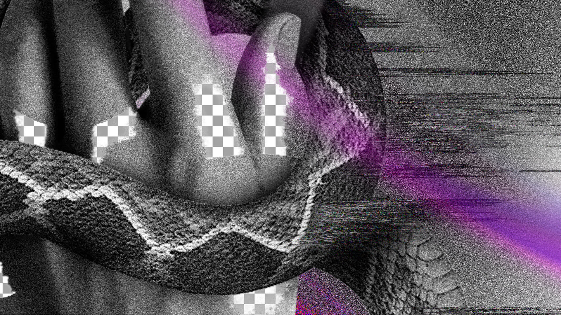 Vice_4
